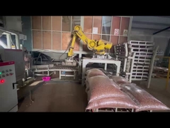 CP180L Robot de paletización multifuncional Robot Kawasaki usado con carga de 180 kg