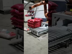 Robots de KR16 KR60 KR210 KR240 KR360 KR500 Kuka para el cargamento que empalieta de soldadura