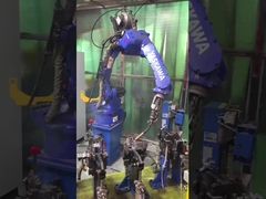 La descarga cargada utilizó el brazo robótico YASKAWA MH12 del robot de Palletizer